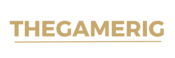 thegamerig.com